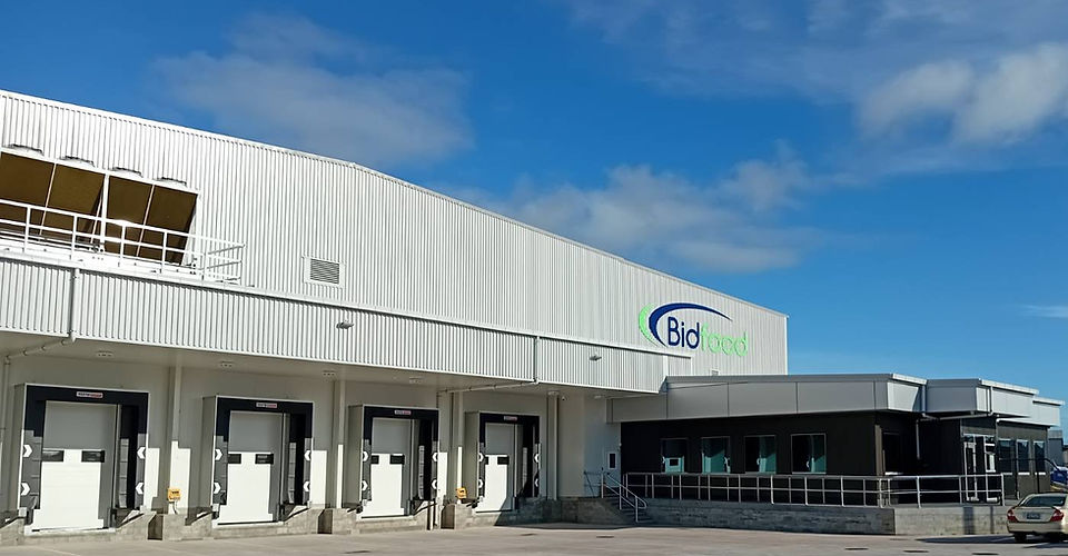 RTW Roofing provides roofing services from residential roofing and commercial roof repairs, new roofs and guttering – Kerikeri, Paihia, Russell, Kawakawa, Kaikohe & the Bay of Islands.